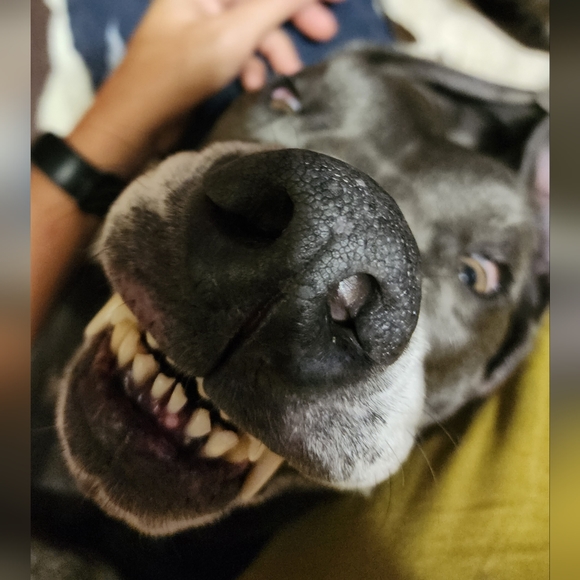 Meet your Posher - Picture 9 of 16